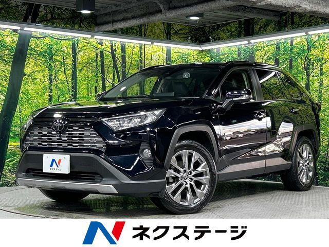 RAV42.0 G Zパッケージ 4WD