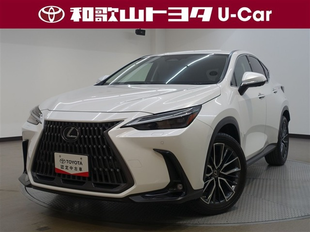NX250 バージョンL