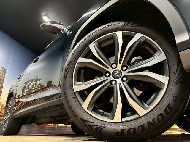 ����20�C���`�A���~�z�C�[��!�A���~�̃R�[�e�B���O��������܂�!���ꂪ���ȃA���~�z�C�[�������S�ł�!!
