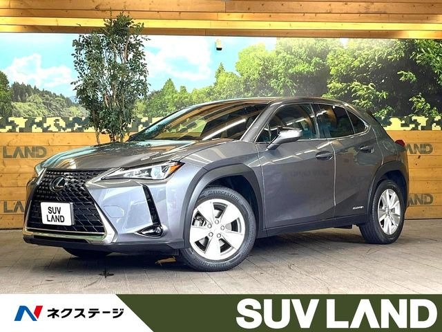 UX�i���N�T�X�j250h ���Îԉ摜