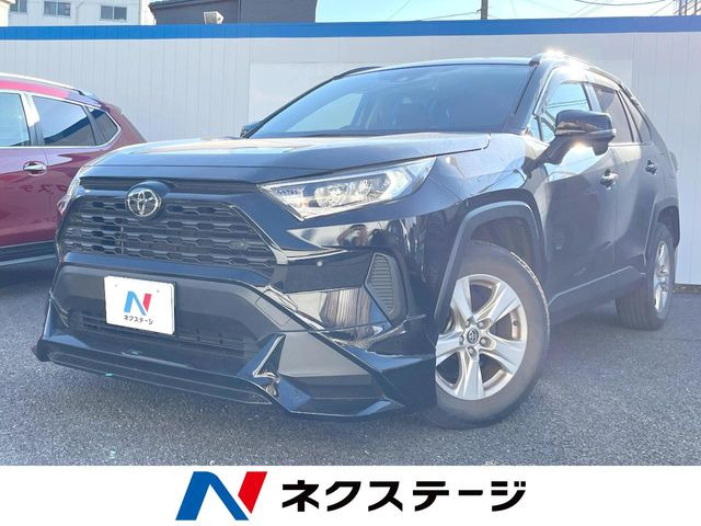 RAV42.0 X