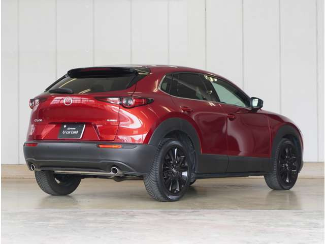 CX-302.0 20S
