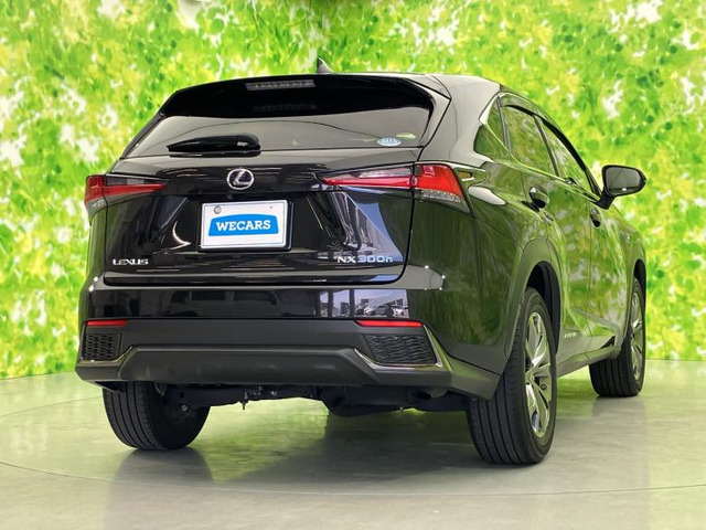 NX300h Fスポーツ