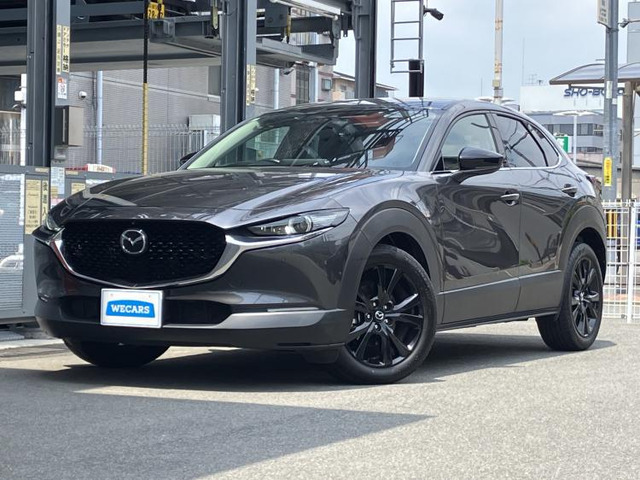 CX-302.0 20S ブラックトーンエディション