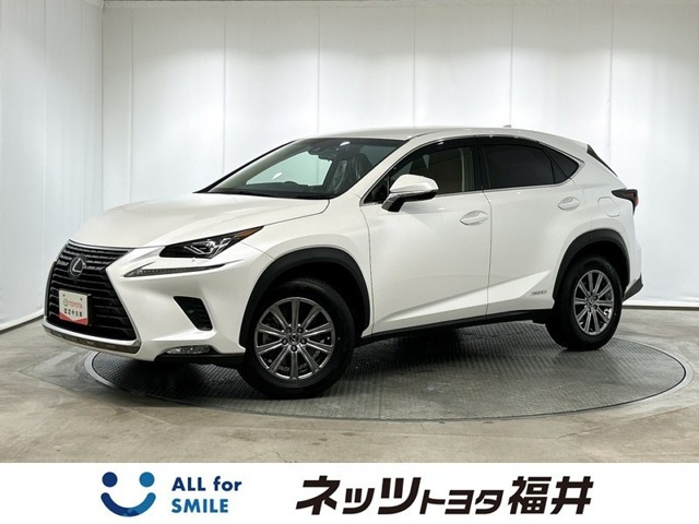 NX300h Iパッケージ 4WD