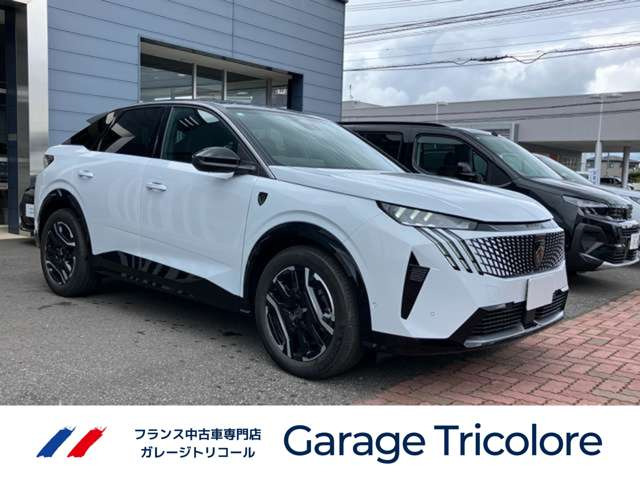 E-3008GT アルカンターラパッケージ