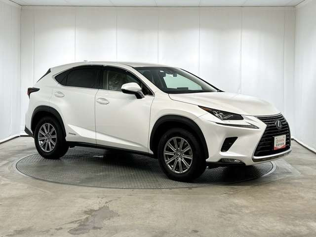 NX300h Iパッケージ 4WD