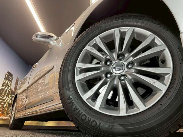 ����16�C���`�A���~�z�C�[��!�A���~�̃R�[�e�B���O��������܂�!���ꂪ���ȃA���~�z�C�[�������S�ł�!!
