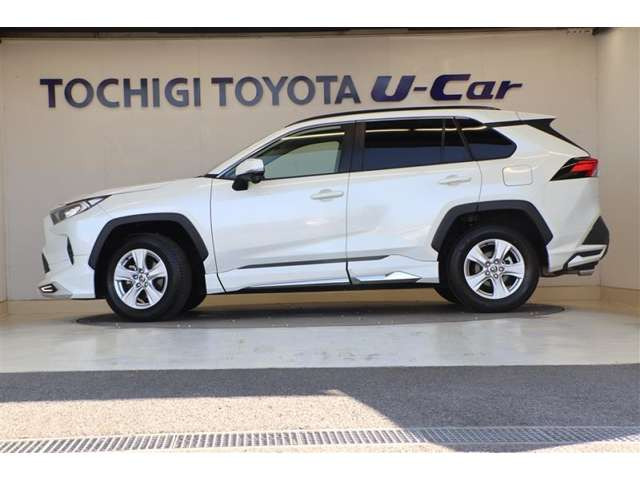 RAV42.0 X