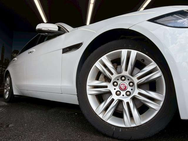 ����18�C���`�A���~�z�C�[��!�A���~�̃R�[�e�B���O��������܂�!���ꂪ���ȃA���~�z�C�[�������S�ł�!!