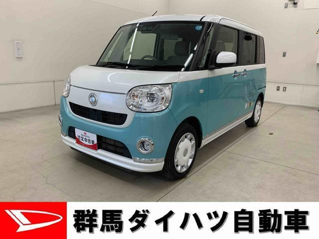 ムーヴキャンバスG メイクアップ SAIII