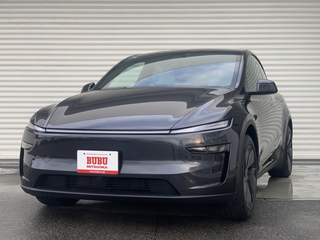 モデルYRWD