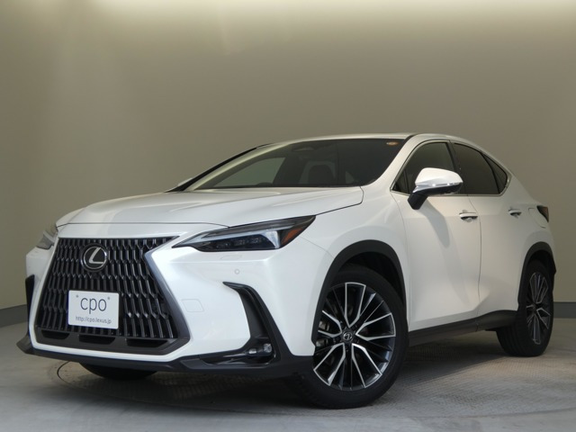 NX250 バージョンL