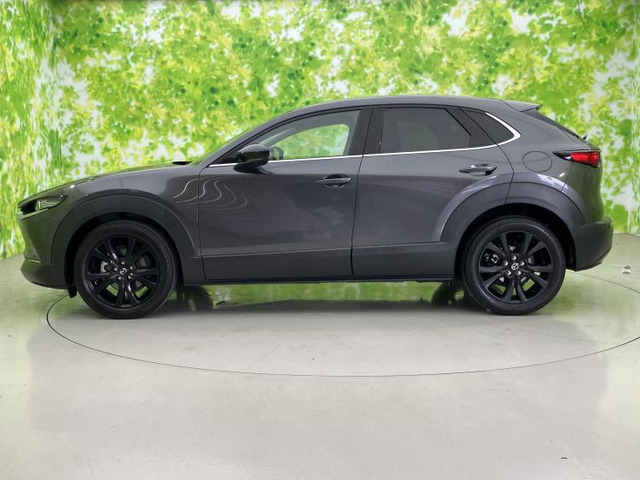 CX-302.0 20S ブラックトーンエディション