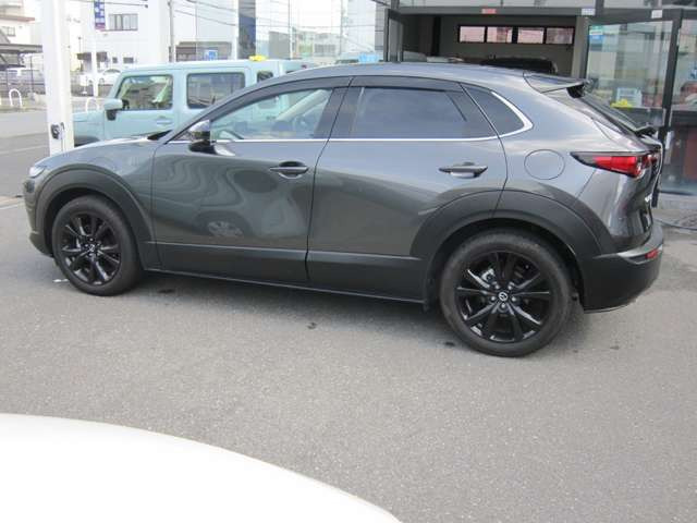 CX-302.0 20S