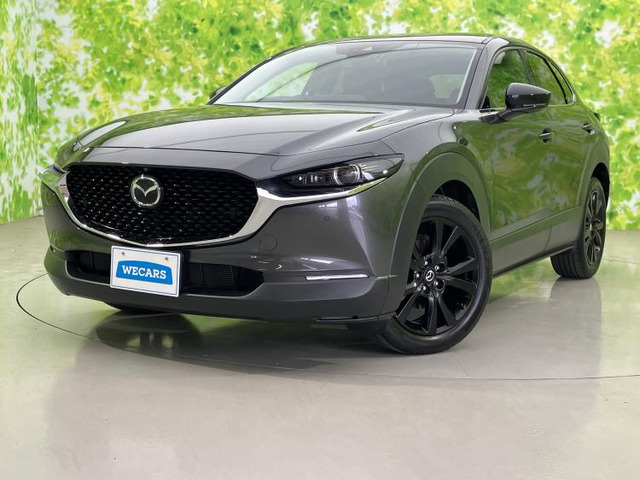 CX-302.0 20S ブラックトーンエディション