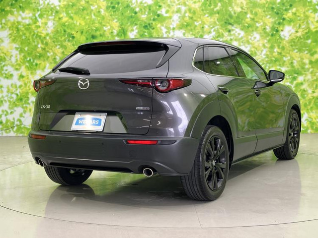 CX-302.0 20S ブラックトーンエディション