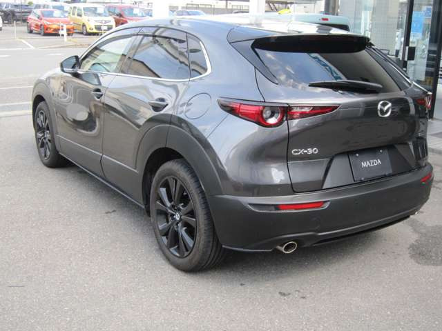 CX-302.0 20S