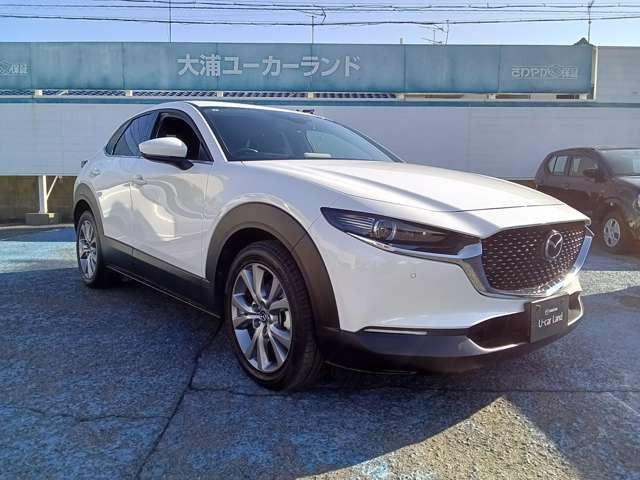 CX-301.8 XD プロアクティブ ツーリングセレクション