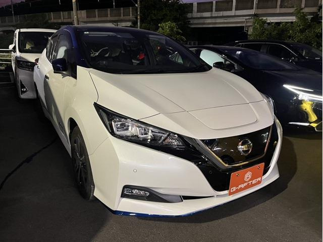 リーフe+ X