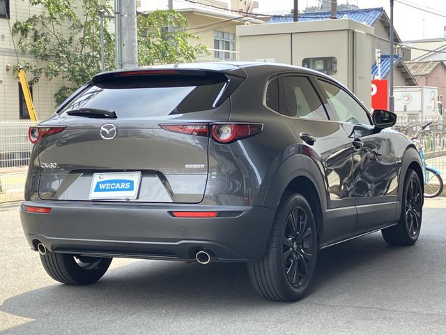 CX-302.0 20S ブラックトーンエディション