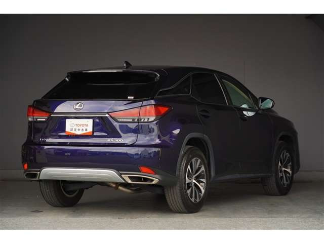 RX300