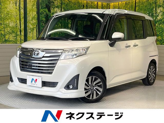 ���[�~�[�i�g���^�j1.0 �J�X�^�� G S ���Îԉ摜