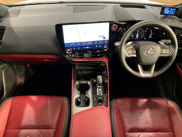 NX250 バージョンL