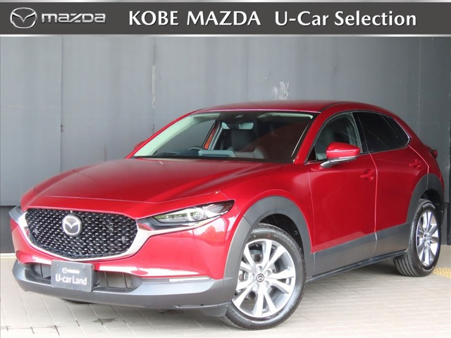 CX-302.0 20S プロアクティブ