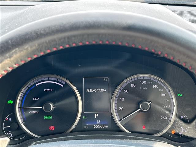 NX300h Fスポーツ