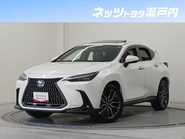 NX350h バージョンL