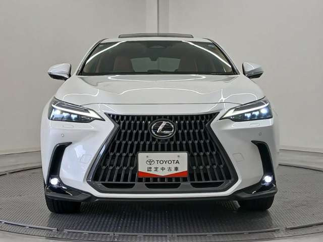 NX350h バージョンL