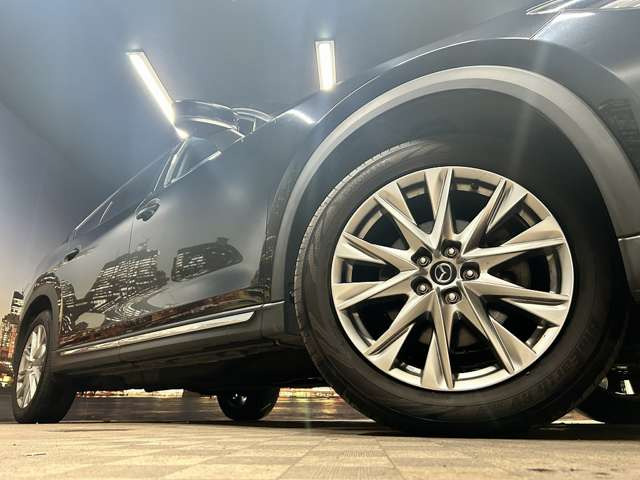 ����19�C���`�A���~�z�C�[��!�A���~�̃R�[�e�B���O��������܂�!���ꂪ���ȃA���~�z�C�[�������S�ł�!!