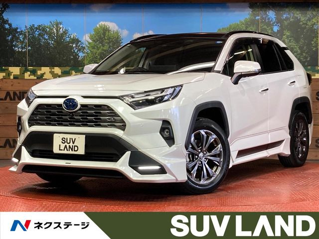 RAV42.5 ハイブリッド G E-Four 4WD
