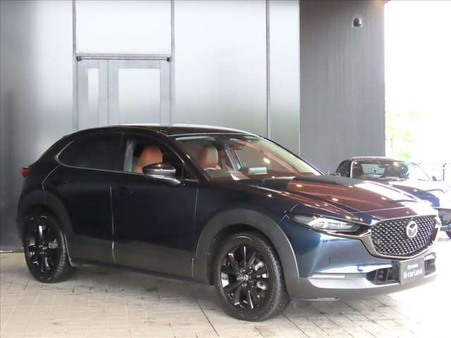 CX-301.8 XD レトロスポーツエディション 4WD