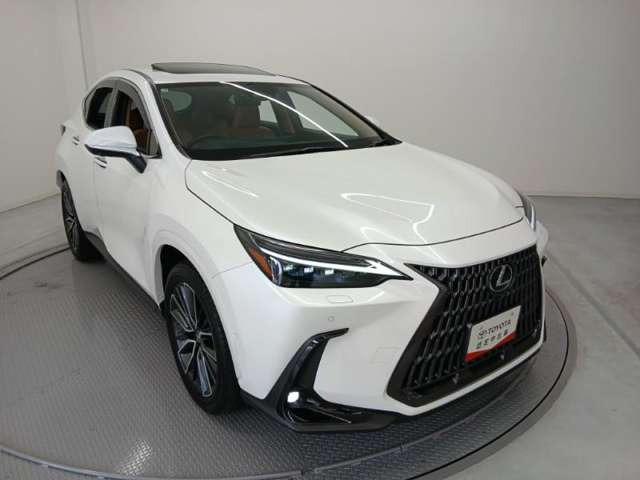 NX350h バージョンL