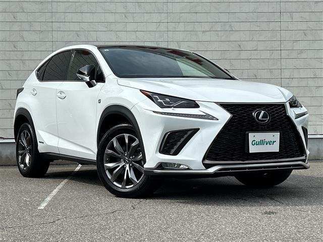 NX300h Fスポーツ
