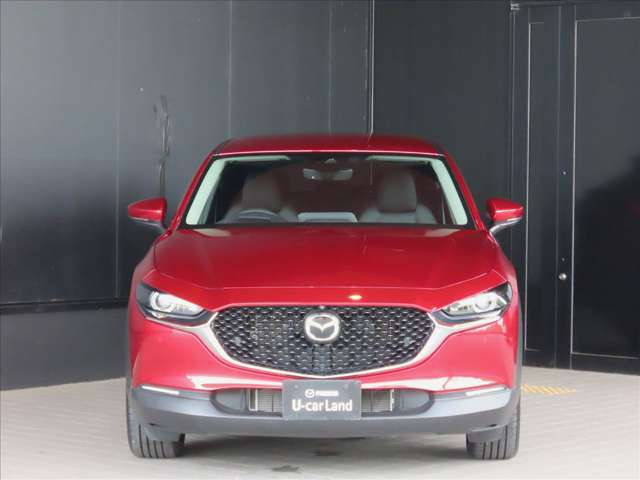 CX-302.0 20S プロアクティブ