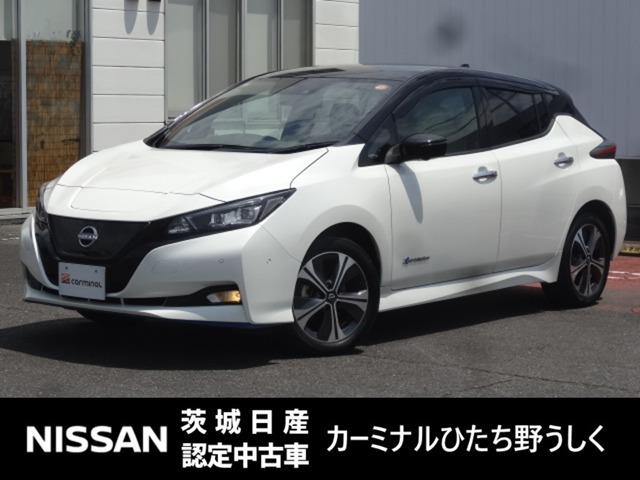 リーフe+ G