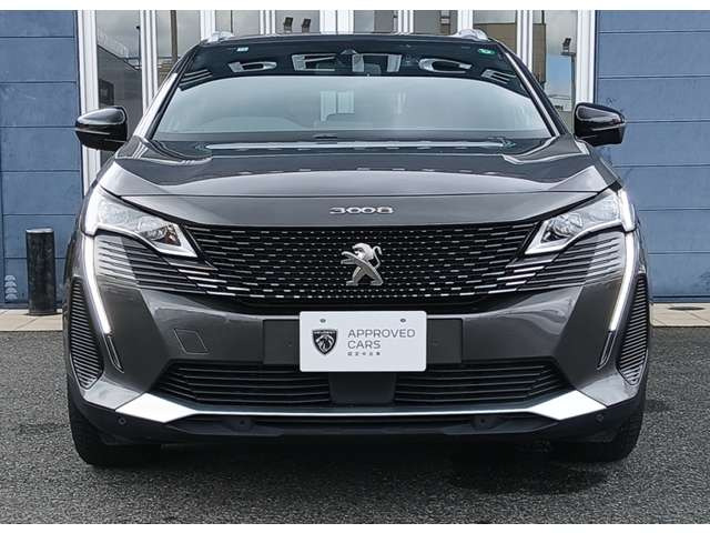 3008GT