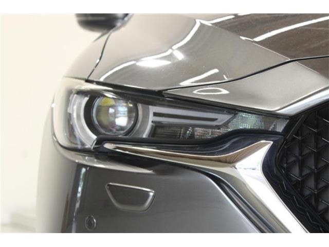 �ቿ�i�ŗǎ��Ȃ��Ԃ�S�Б���3,000�݌ɂ��炨�I�т��������܂��B�c�Ǝ��� 10:00�`19:00