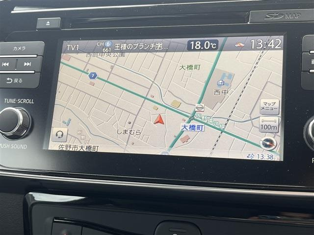リーフe+ G