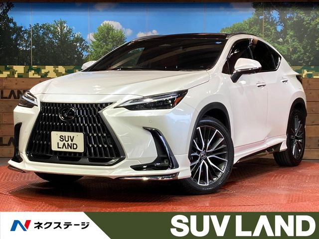 NX250 バージョンL