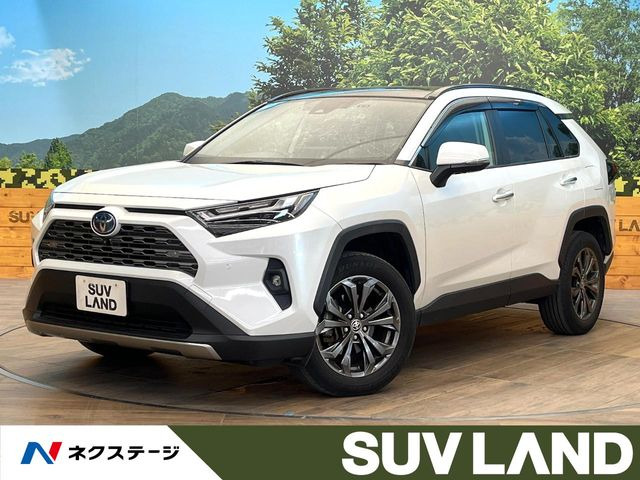 RAV4(トヨタ) 2.5 ハイブリッド G E-Four 4WD 中古車画像