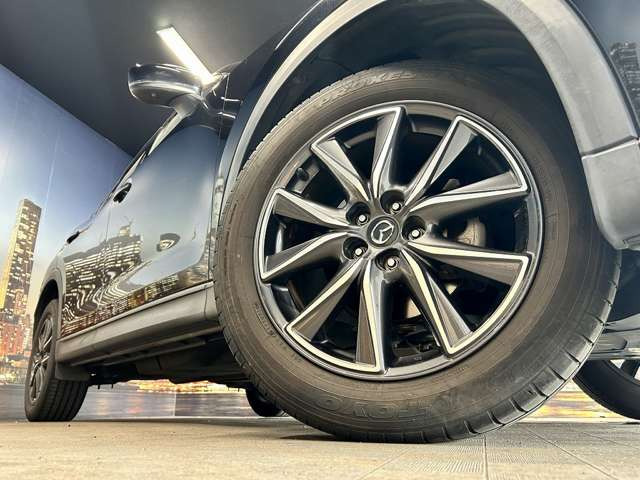 ����19�C���`�A���~�z�C�[��!�A���~�̃R�[�e�B���O��������܂�!���ꂪ���ȃA���~�z�C�[�������S�ł�!!
