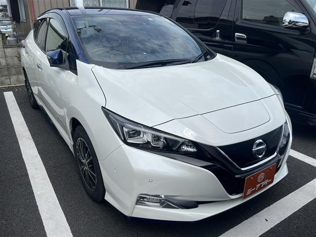リーフe+ G