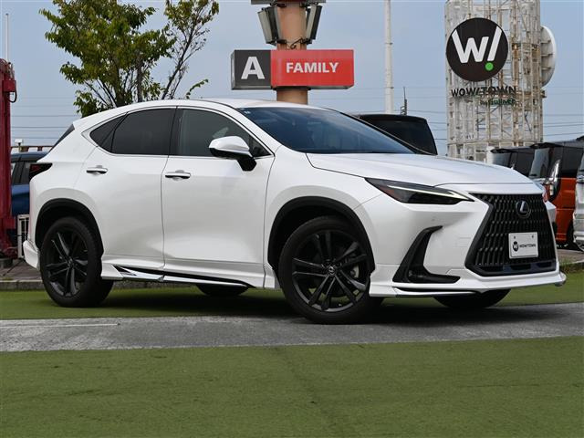 NX250 バージョンL