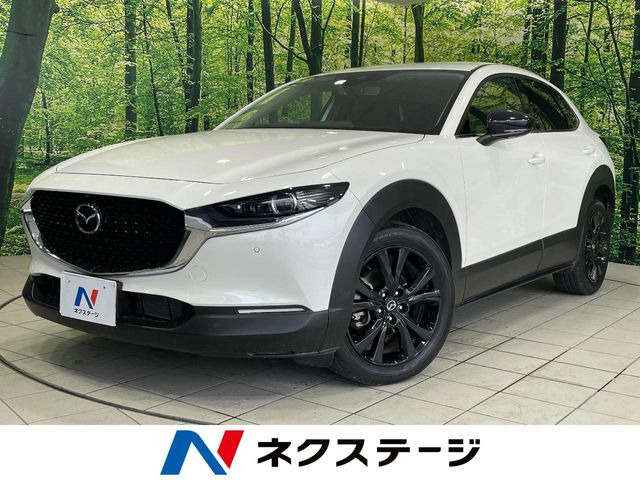 CX-302.0 20S ブラックトーンエディション