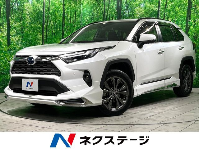 RAV4(トヨタ) 2.5 ハイブリッド G E-Four 4WD 中古車画像
