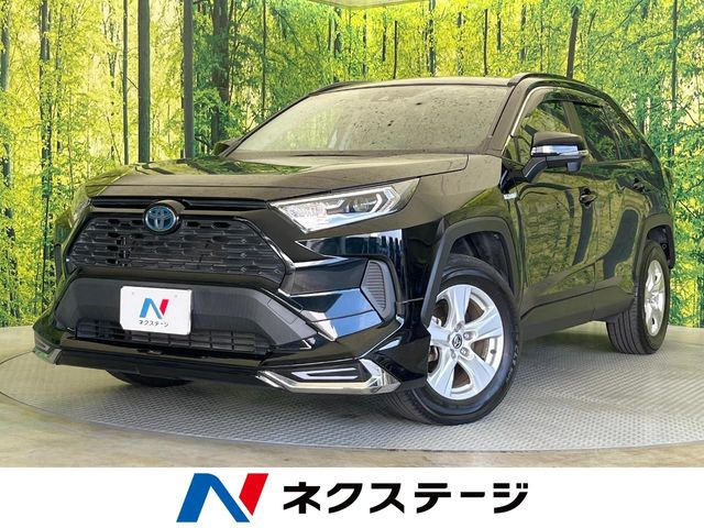 RAV42.5 ハイブリッド X